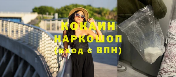 прущие грибы Балабаново