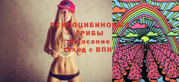 прущие грибы Балабаново
