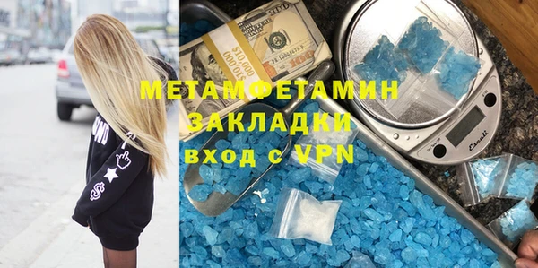прущие грибы Балабаново