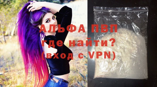 прущие грибы Балабаново
