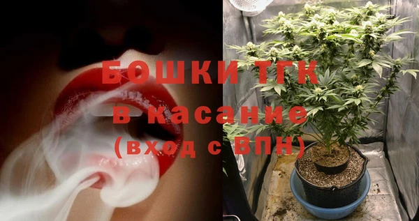 прущие грибы Балабаново