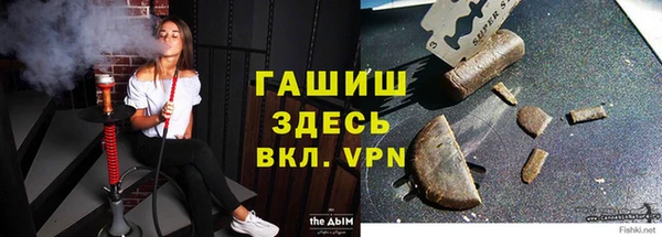 прущие грибы Балабаново