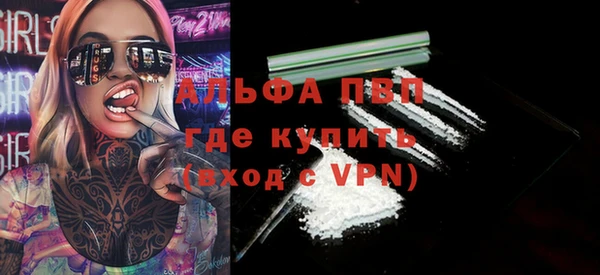 прущие грибы Балабаново