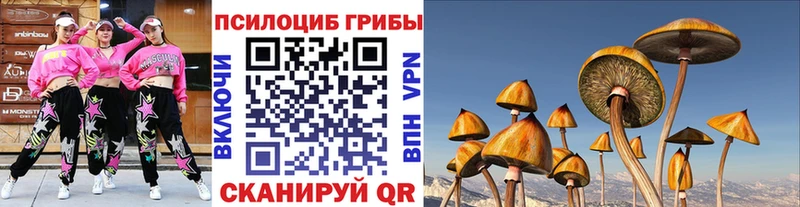 купить закладку  Лениногорск  Псилоцибиновые грибы Magic Shrooms 