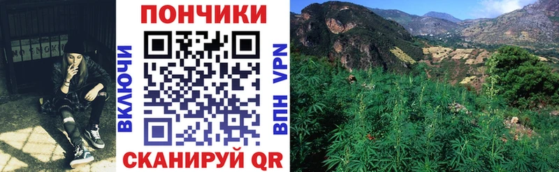 цена наркотик  Лениногорск  Шишки марихуана Bruce Banner 